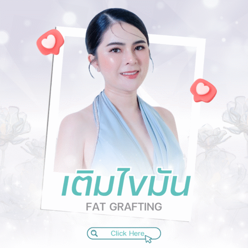 เติมไขมัน