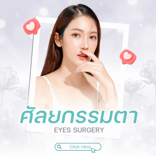 บริการPmed6 e1748172268344